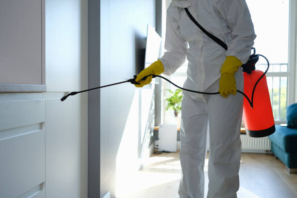 Best Environmental Consulting for Mold Prevention  in Essex Fells, NJ